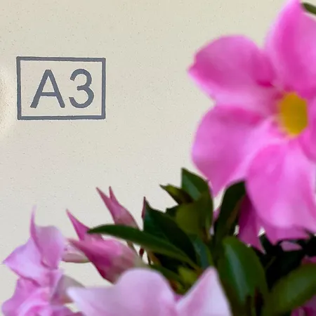 Le Casette Di Orta Apartman *