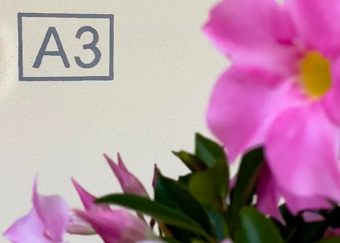 Le Casette Di Orta Appartement *